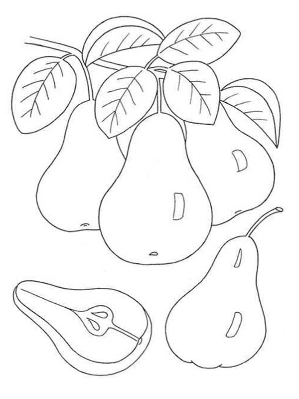 Birnen zum Ausdrucken