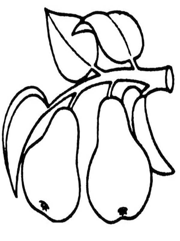 Kostenlos druckbare Birnen