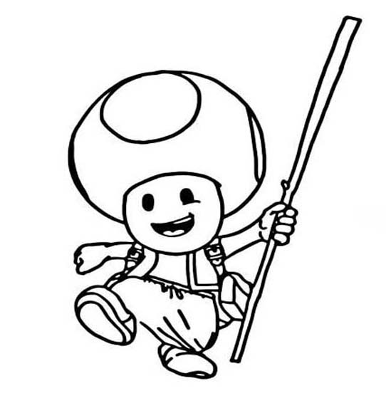 Toad kostenlos einfach