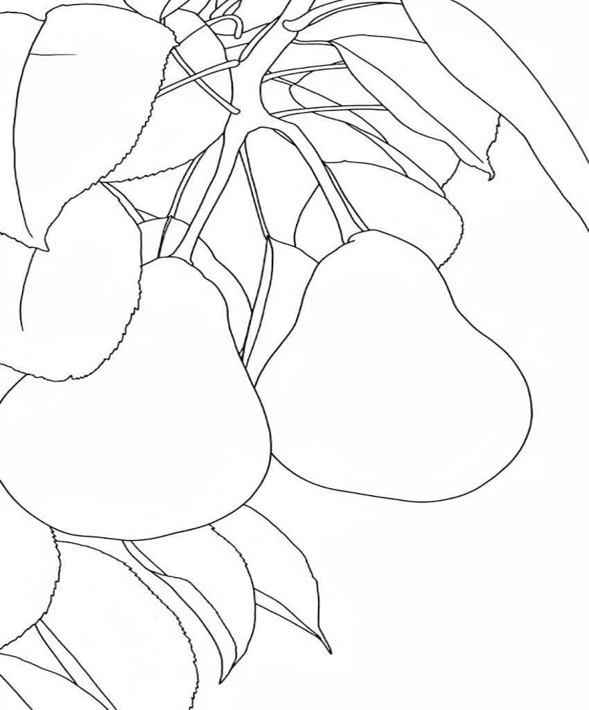 Zeichne Birnen einfach