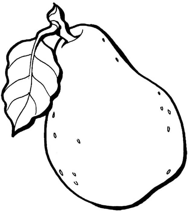 Zeichne Birnen kostenlos druckbare basisch
