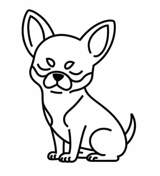 Zeichne Chihuahua druckbare