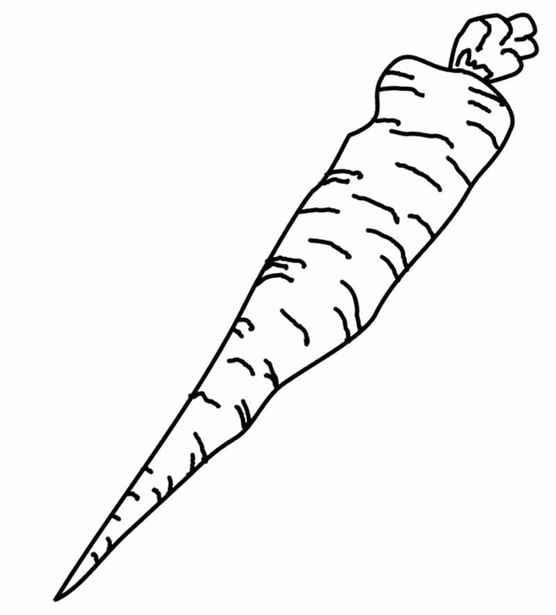 Zeichne Karotte einfach