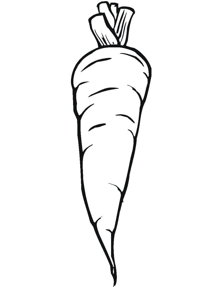 Zeichne Karotte kostenlos druckbare basisch