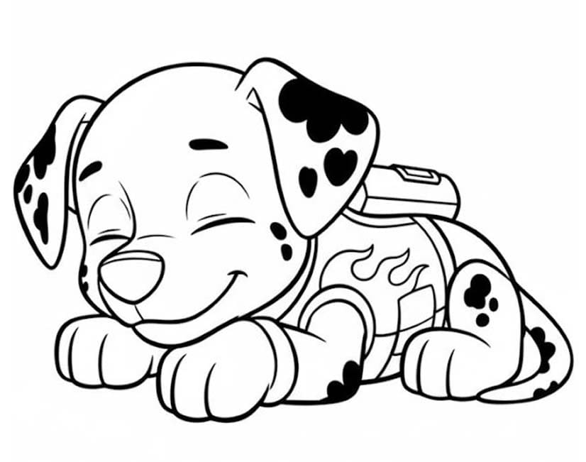 Zeichne Marshall Paw Patrol einfach