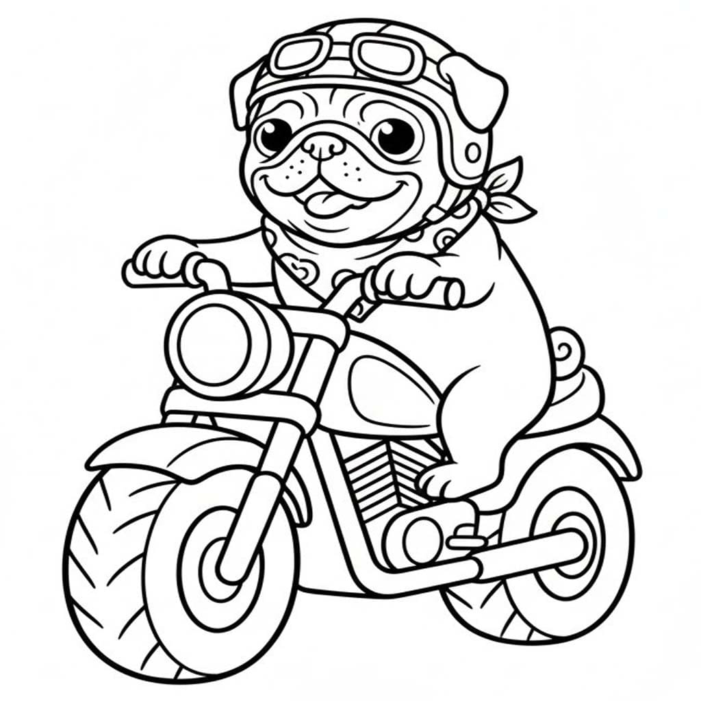 Zeichne Mops kostenlos für Kinder