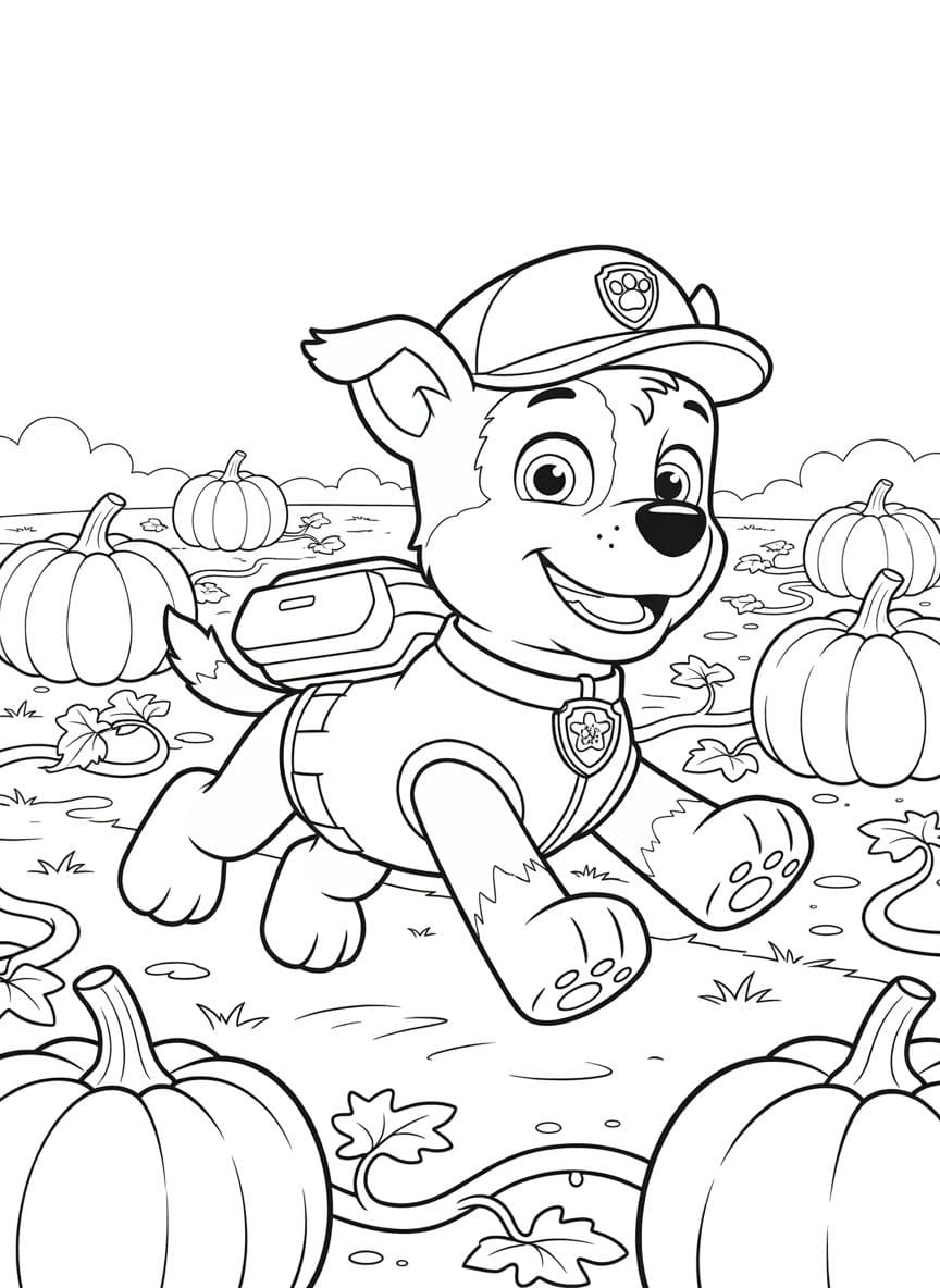 Zeichne Rocky Paw Patrol