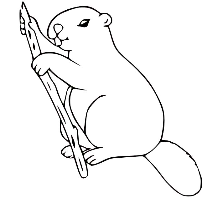 Biber druckbare schlicht