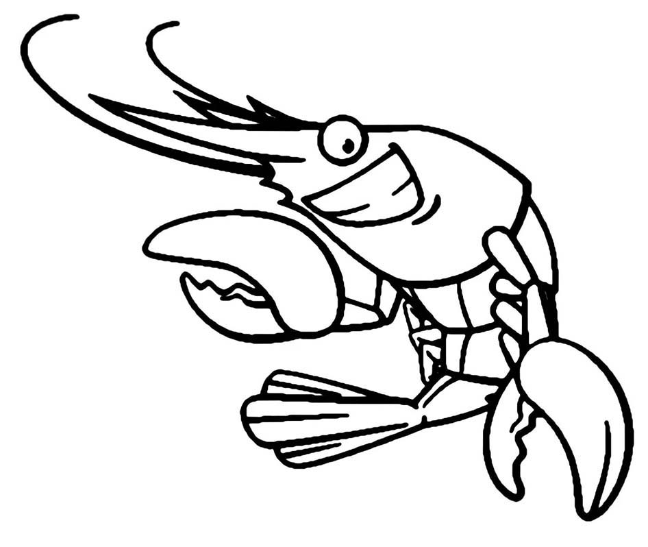 Garnele druckbare basisch