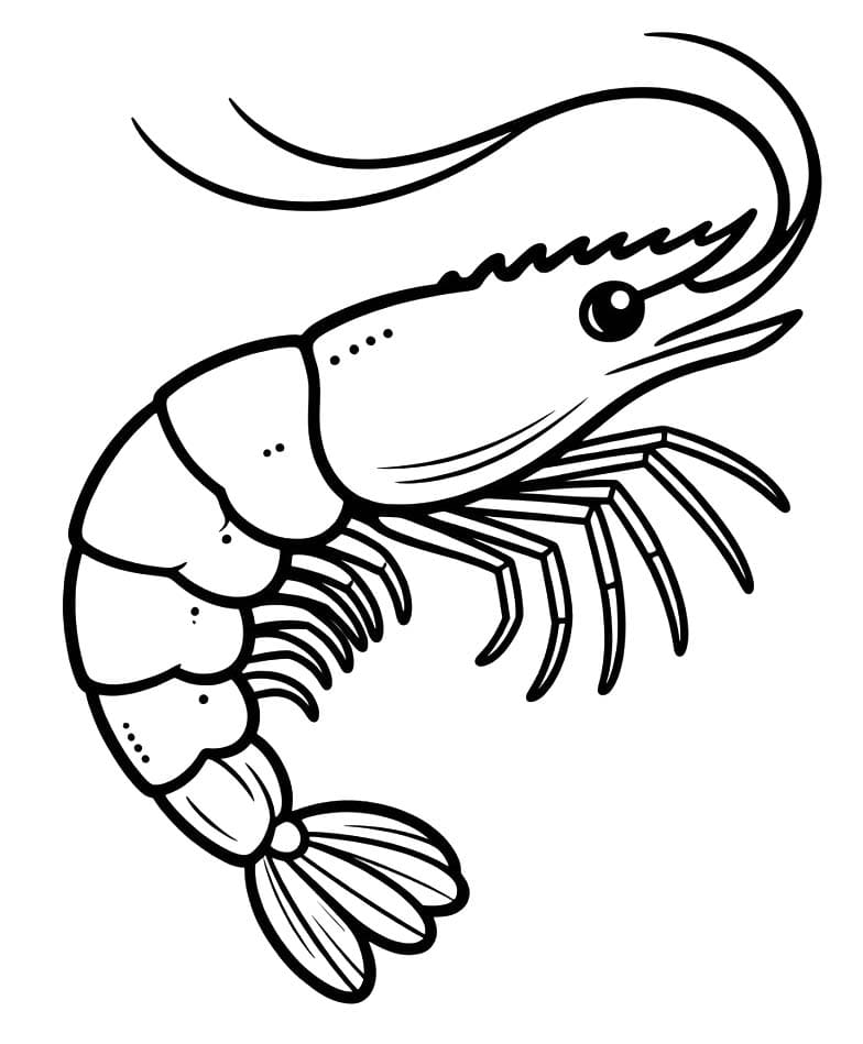 Garnele kostenlos druckbare