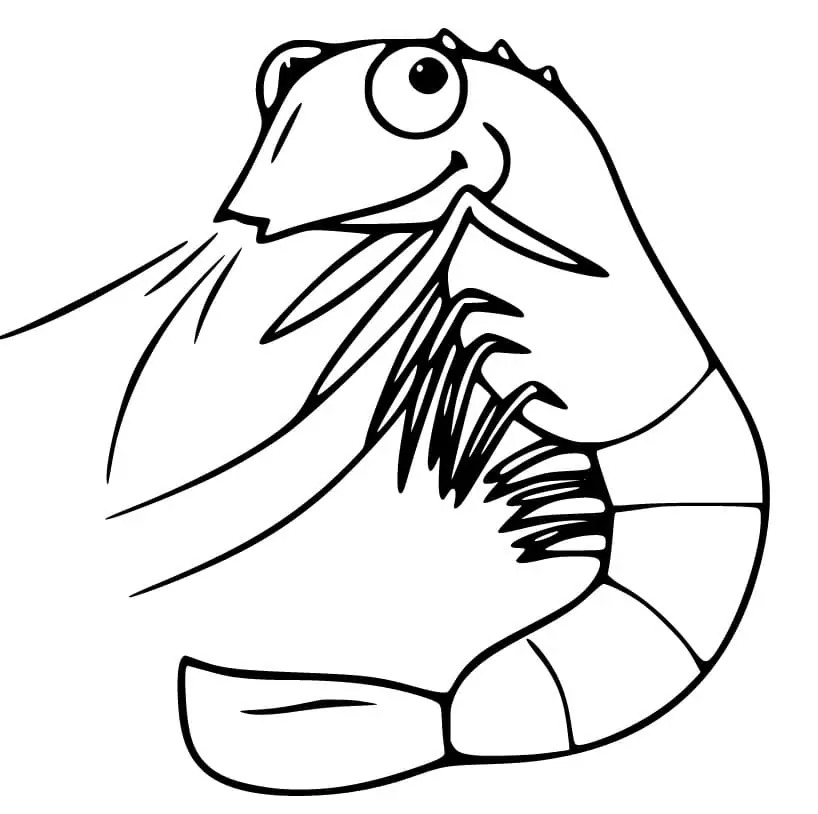 Garnele zum Ausdrucken für Kinder