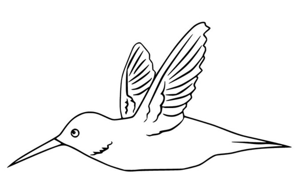 Kolibri kostenlos druckbare einfach