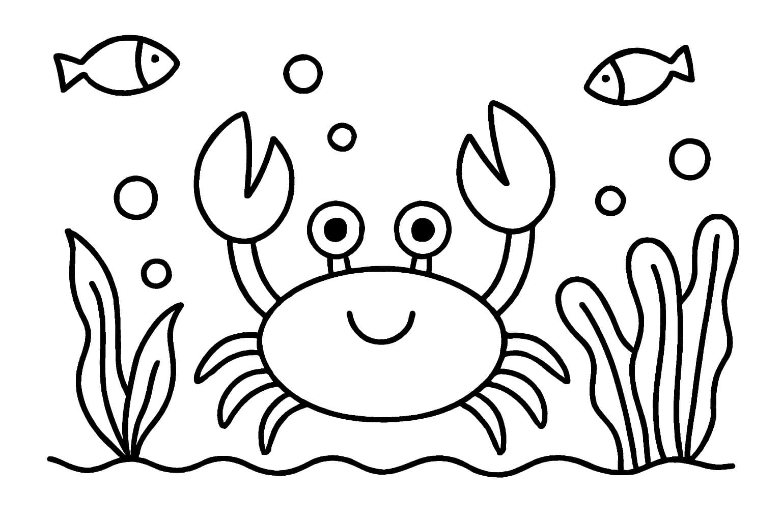 Krabbe kostenlos druckbare schlicht