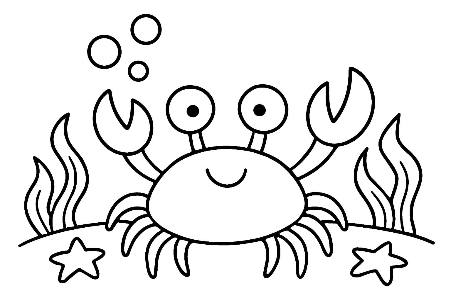 Krabbe ausmalbilder