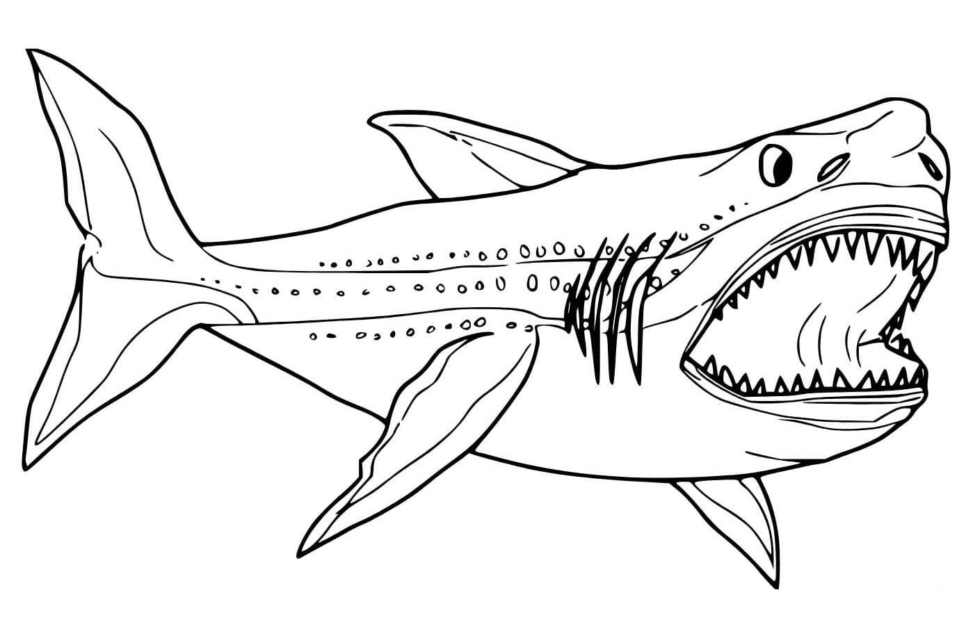 Megalodon kostenlos druckbare basisch