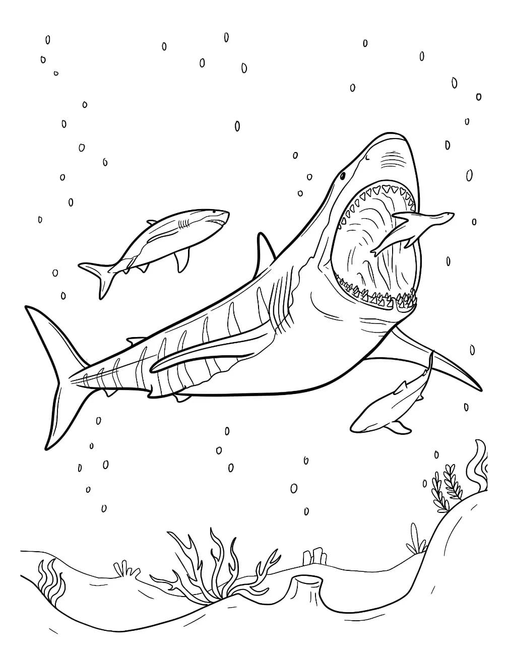 Megalodon kostenlos druckbare einfach