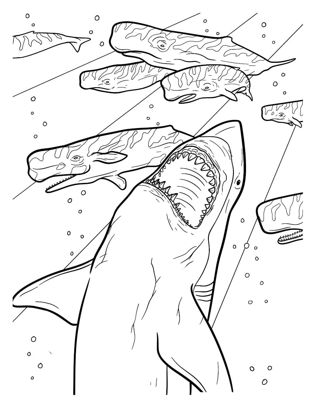 Megalodon zum Ausdrucken