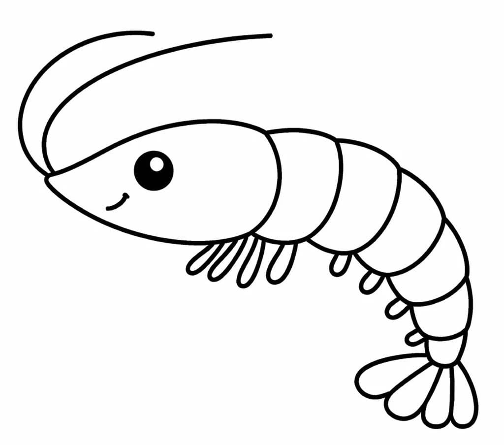 Zeichne Garnele druckbare für Kinder
