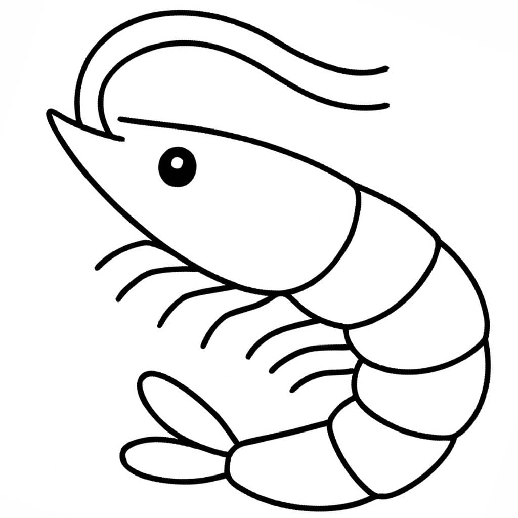 Garnele ausmalbilder