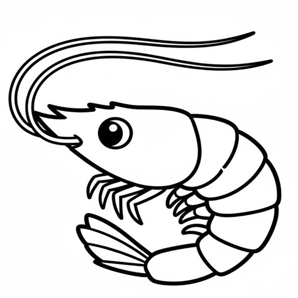 Zeichne Garnele kostenlos druckbare schlicht