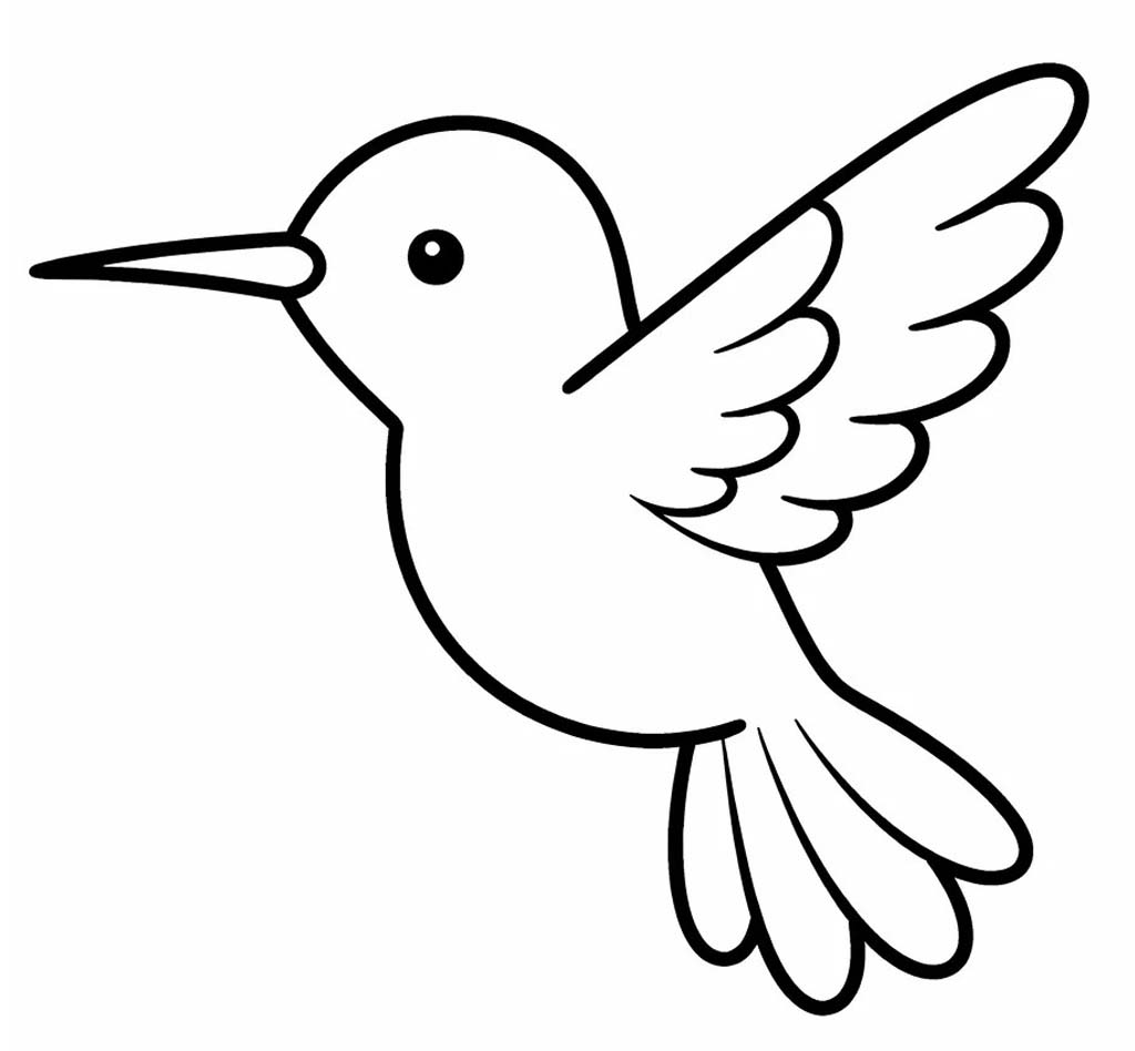 Kolibri ausmalbilder