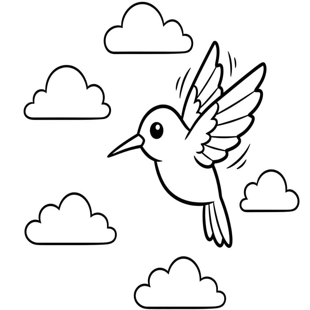 Zeichne Kolibri einfach