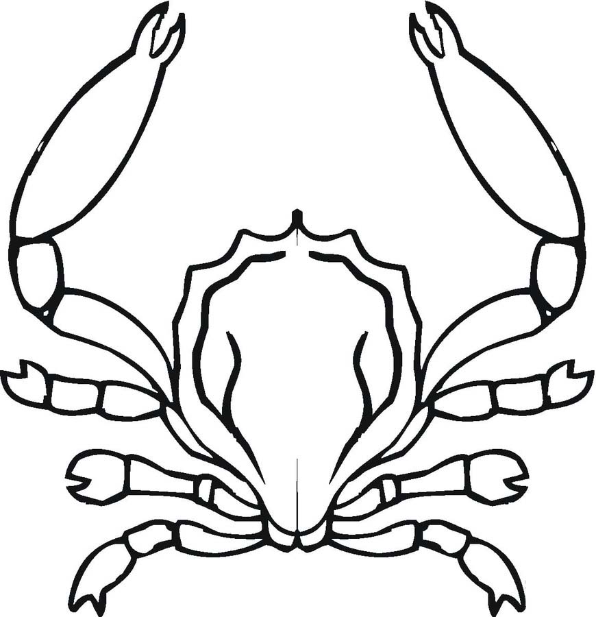 Zeichne Krabbe druckbare einfach