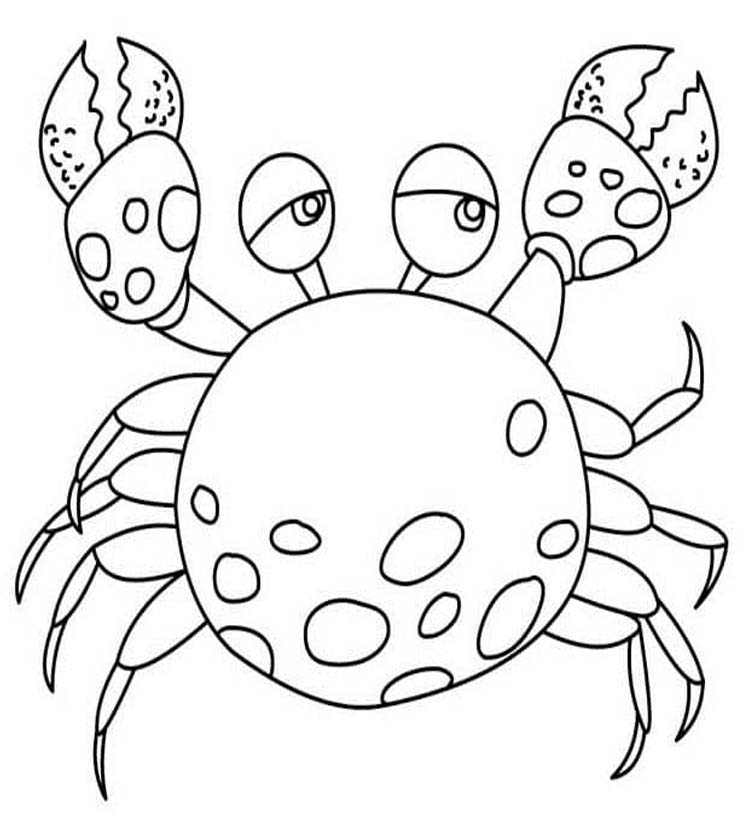 Zeichne Krabbe kostenlos einfach