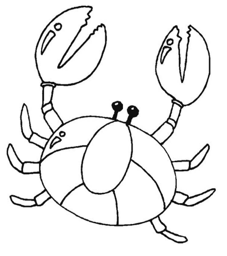 Zeichne Krabbe kostenlos für Kinder