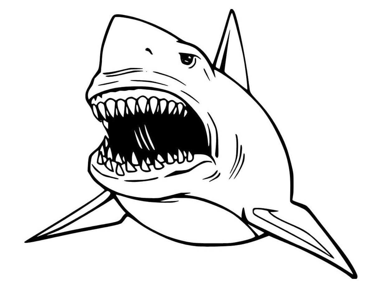 Zeichne Megalodon druckbare schlicht