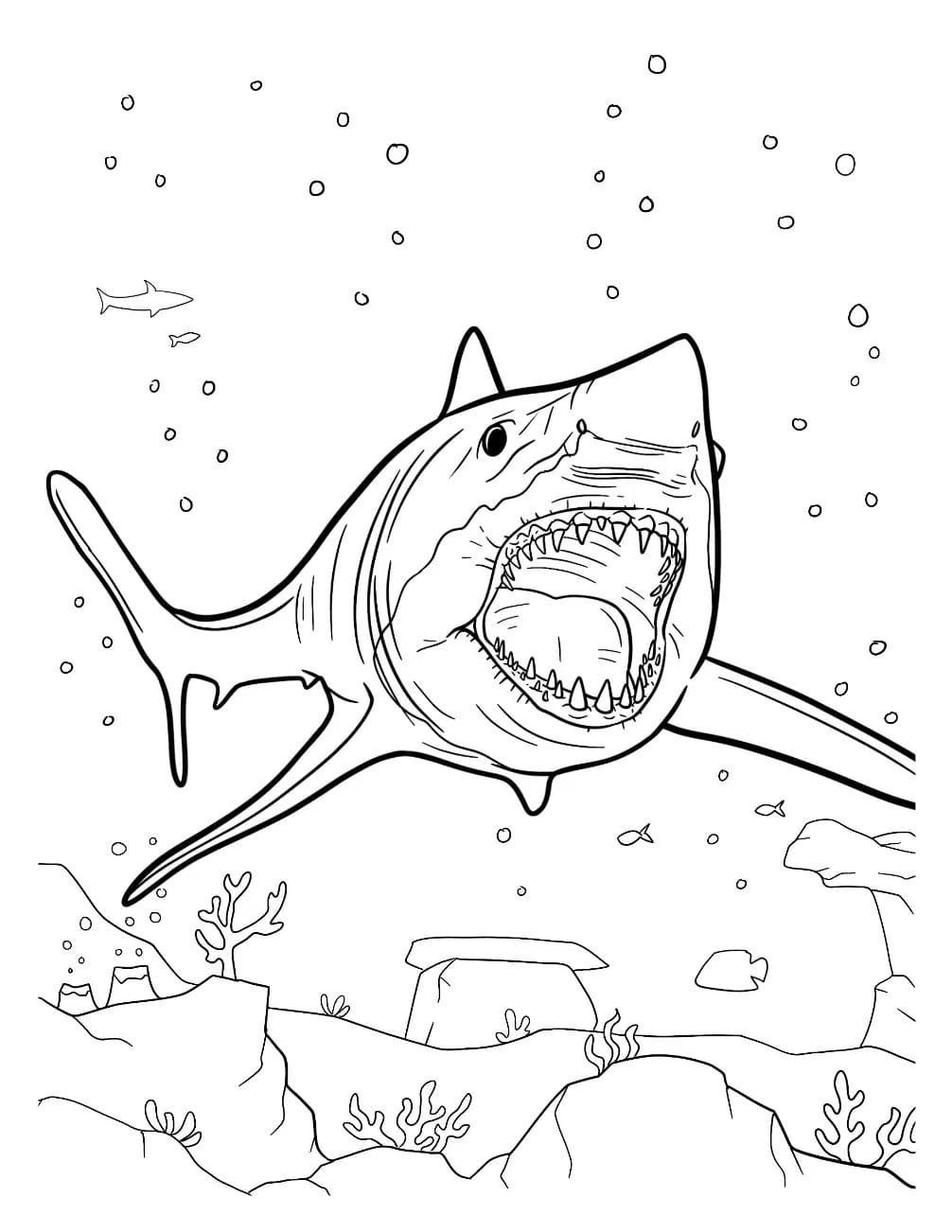 Zeichne Megalodon kostenlos basisch