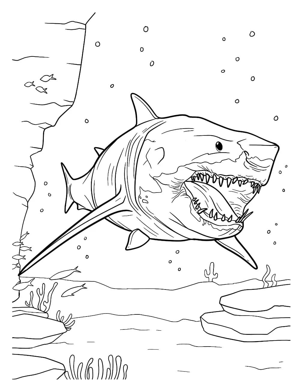 Zeichne Megalodon kostenlos druckbare basisch