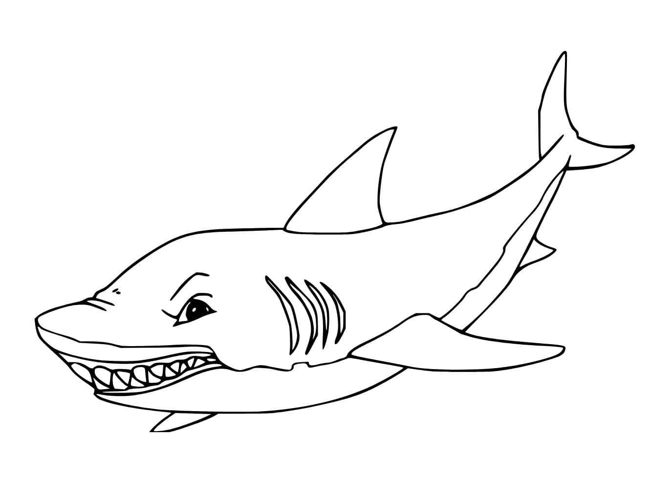 Zeichne Megalodon kostenlos druckbare schlicht