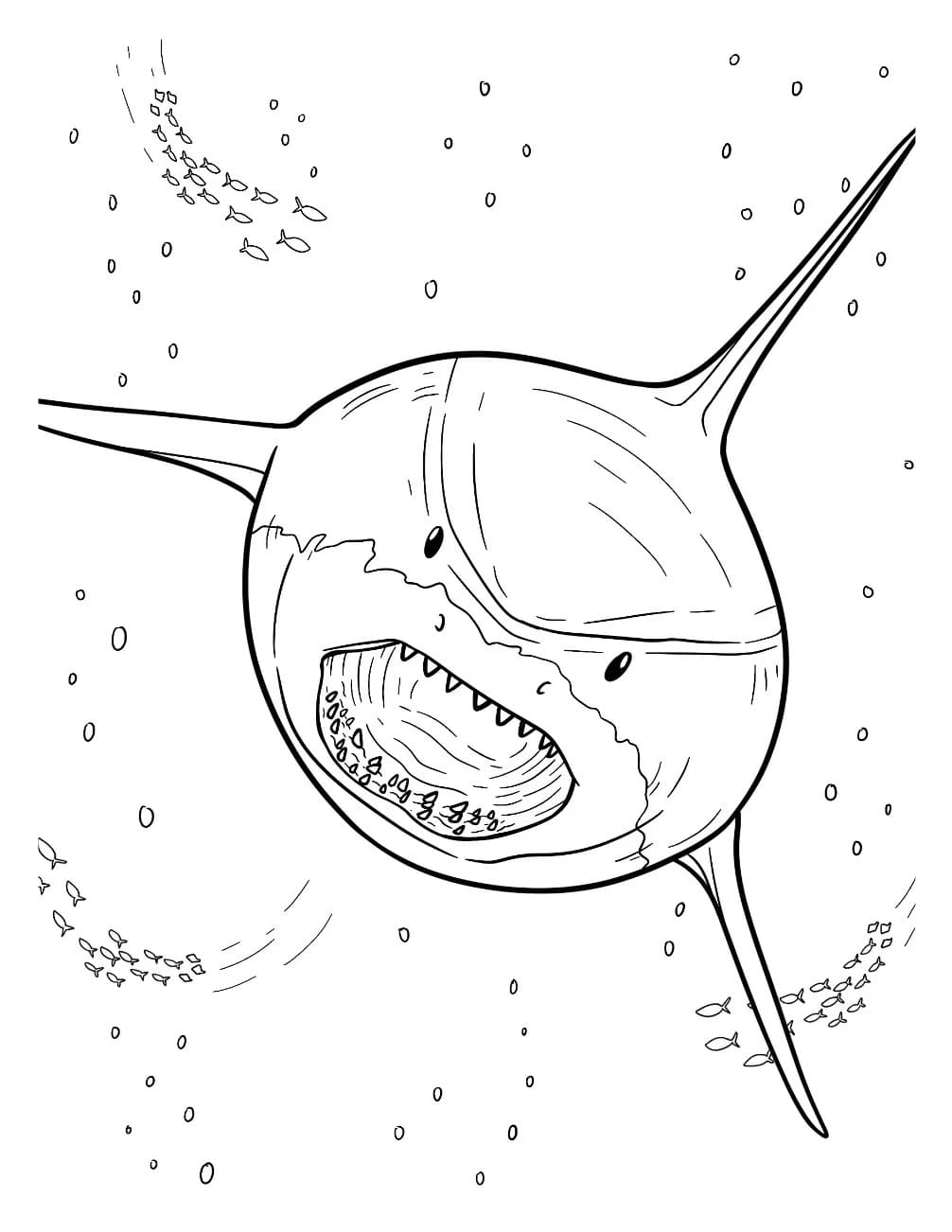 Zeichne Megalodon kostenlos einfach