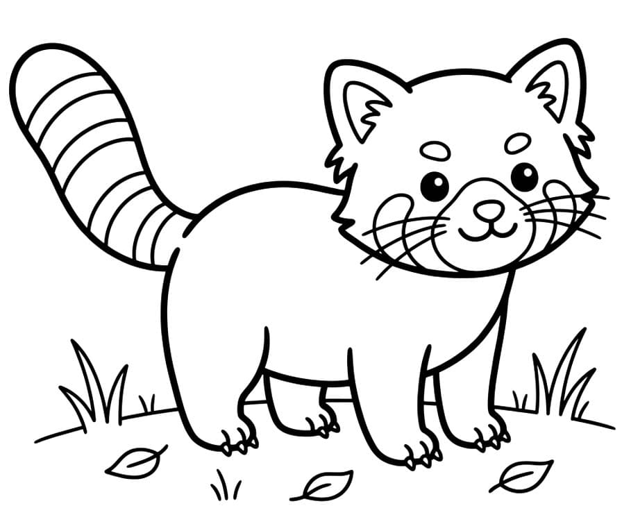 Zeichne Roter Panda kostenlos druckbare