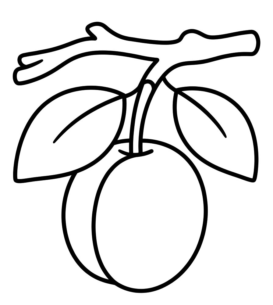 Pflaume kostenlos basisch