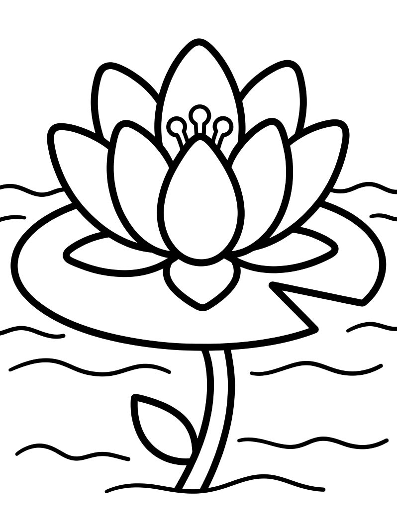 Seerose druckbare basisch