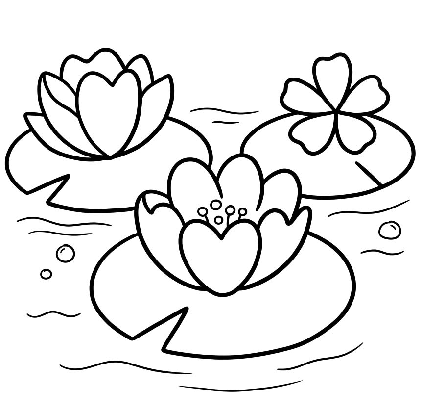 Seerose druckbare einfach