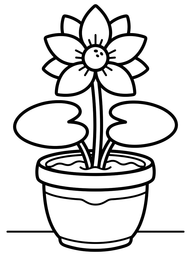 Seerose für Kinder