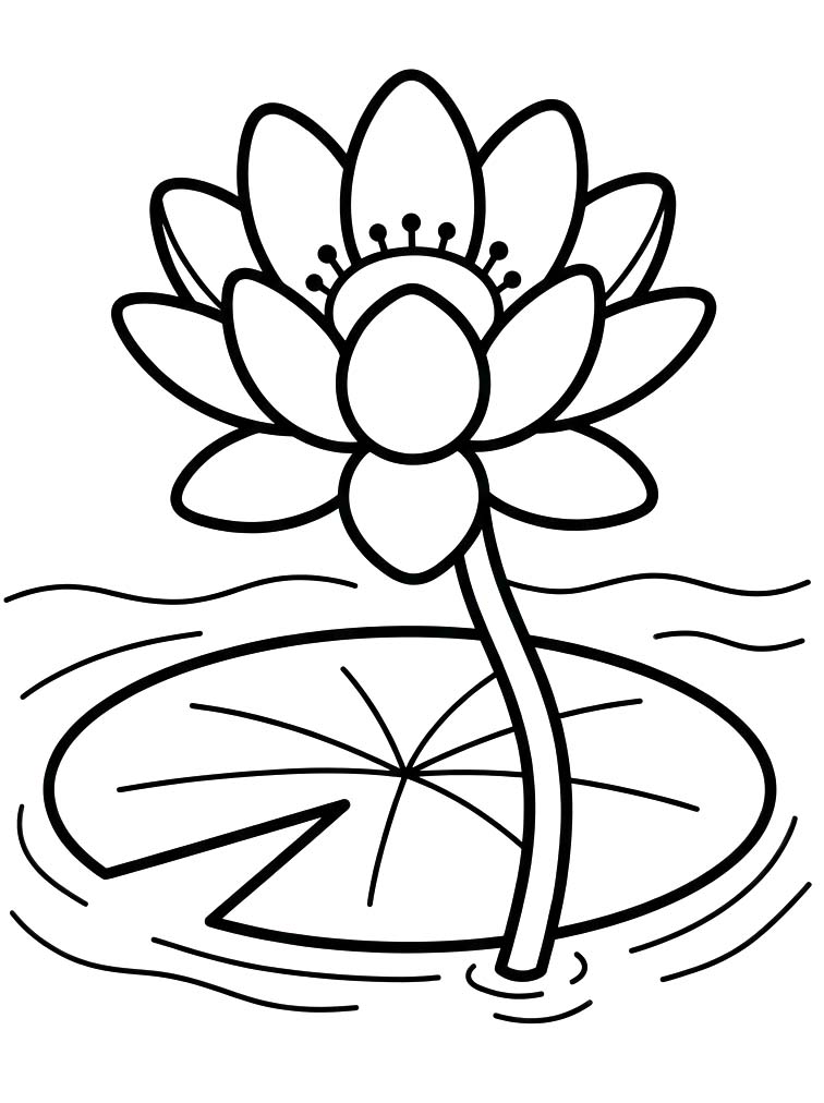 Seerose kostenlos basisch