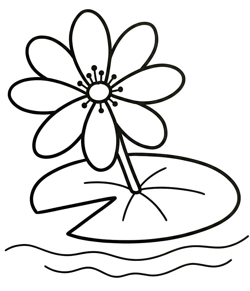 Seerose kostenlos druckbare basisch