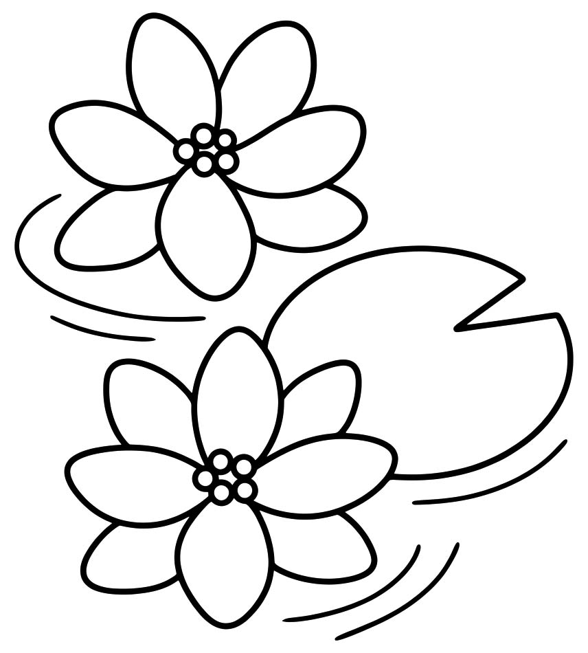 Seerose kostenlos druckbare schlicht
