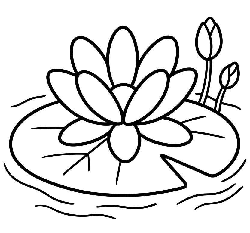 Seerose kostenlos einfach