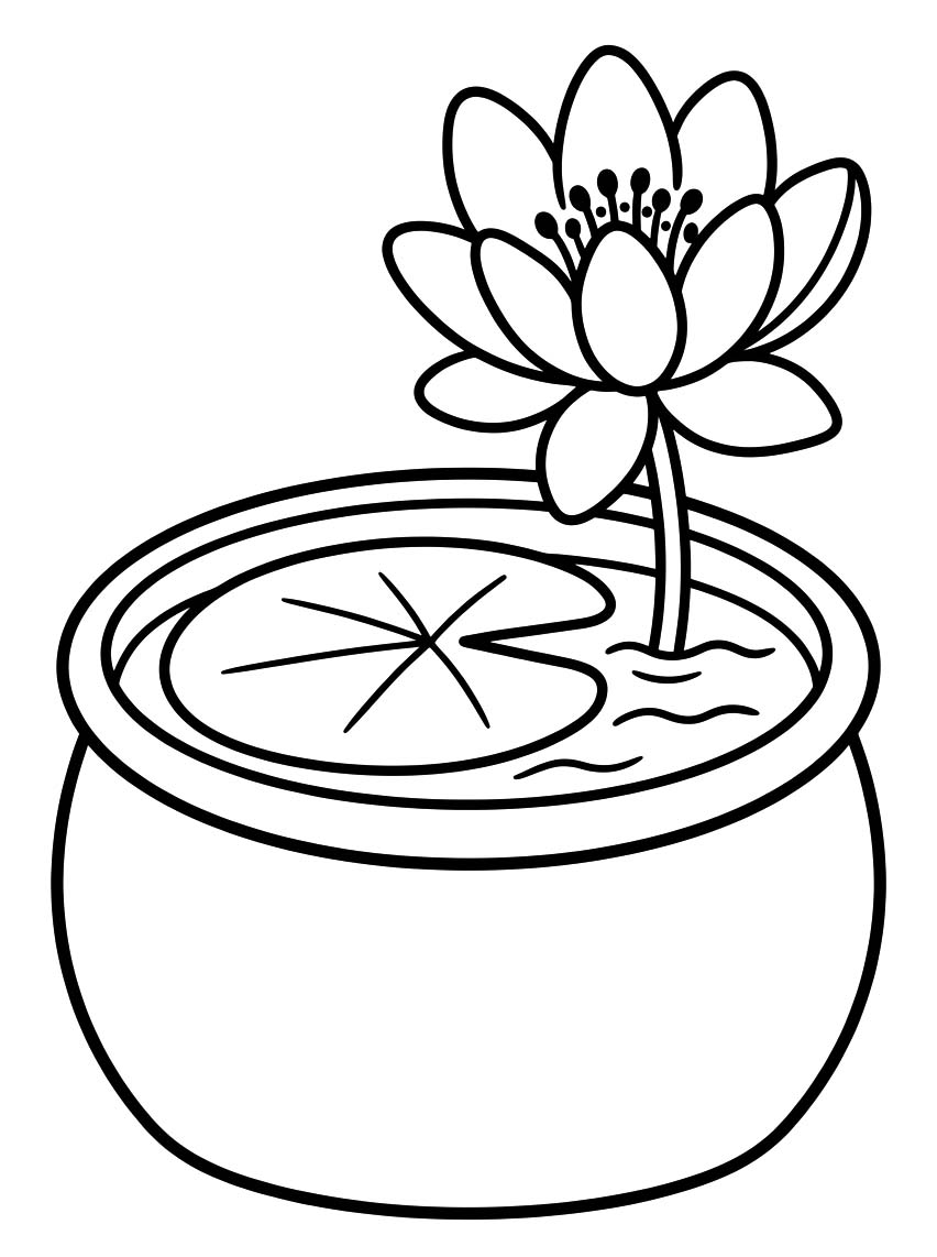 Seerose kostenlos für Kinder