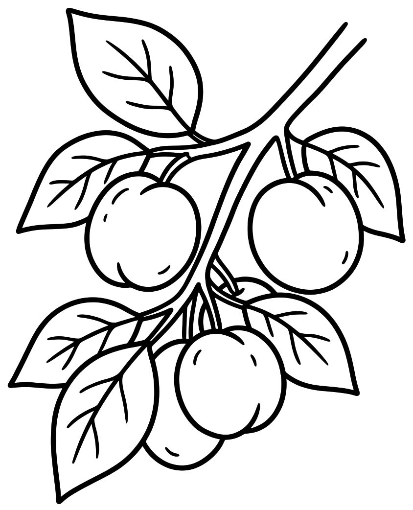 Zeichne Pflaume
