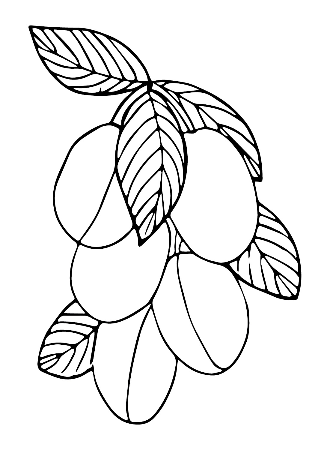 Zeichne Pflaume basisch