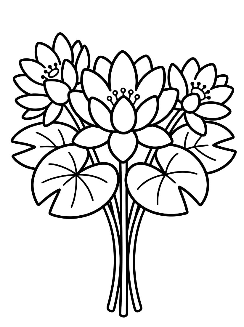 Zeichne Seerose basisch