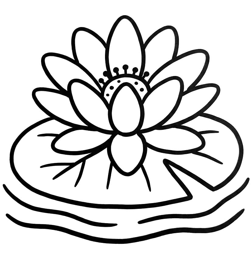 Zeichne Seerose druckbare basisch