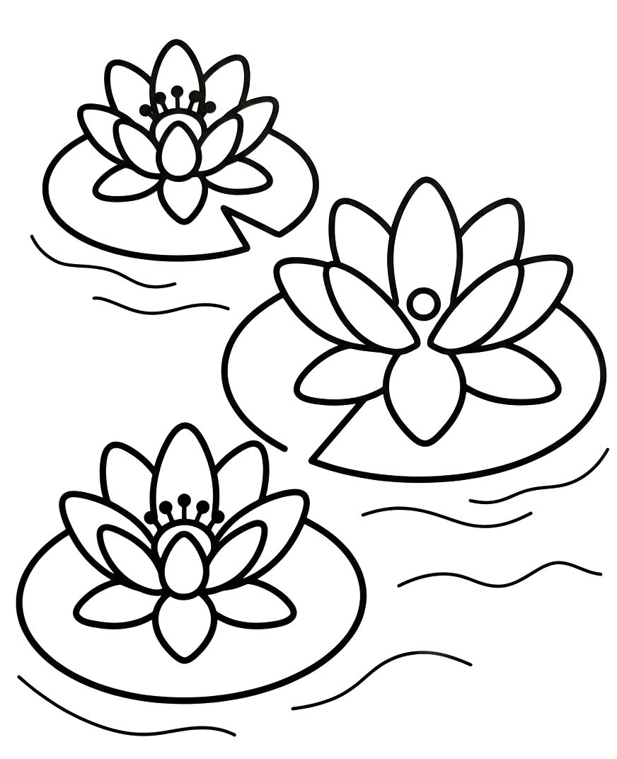Zeichne Seerose druckbare schlicht