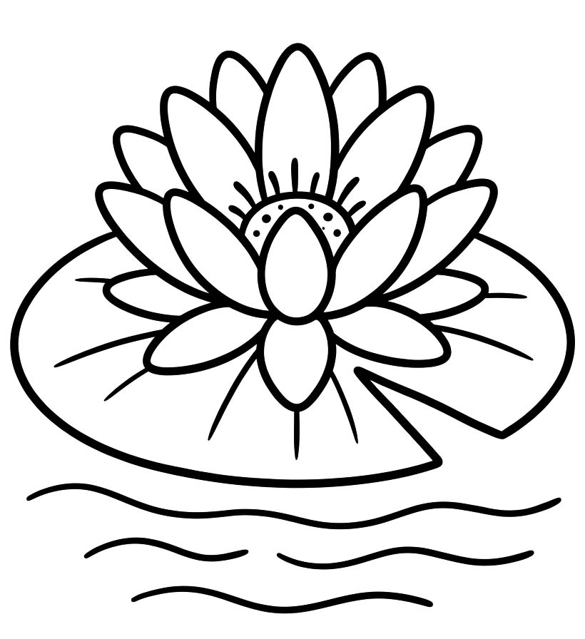 Zeichne Seerose kostenlos